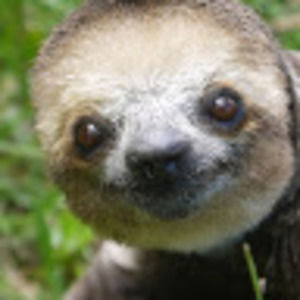 Meet your Posher, Mawiah